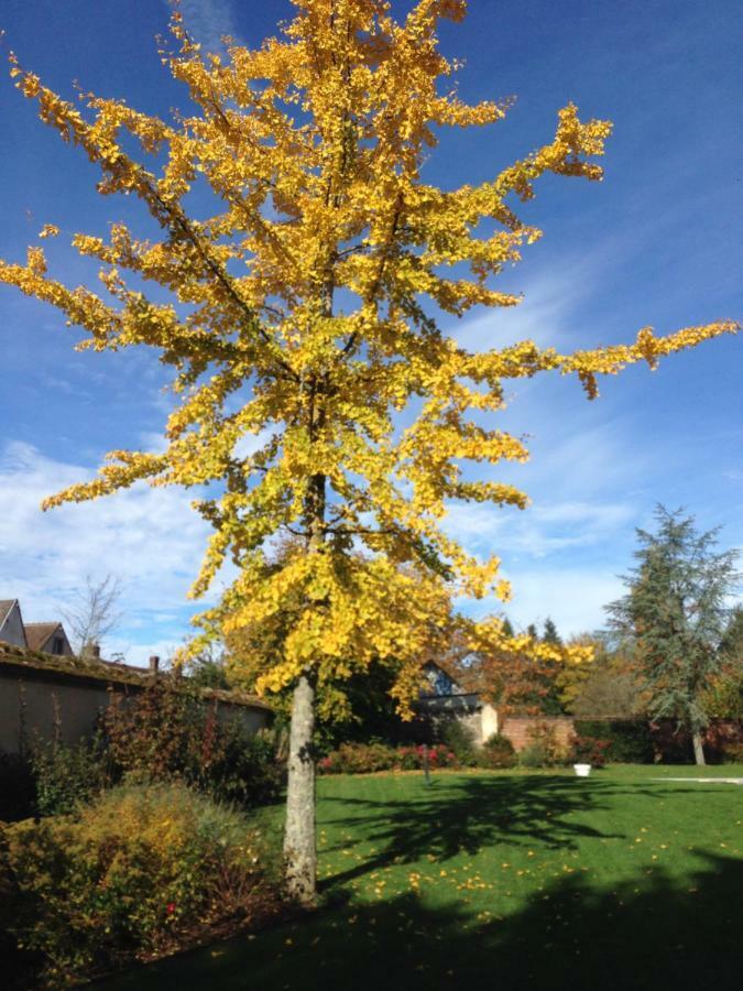 Les Couleurs Du Verger Beaumont-les-Autels Екстер'єр фото
