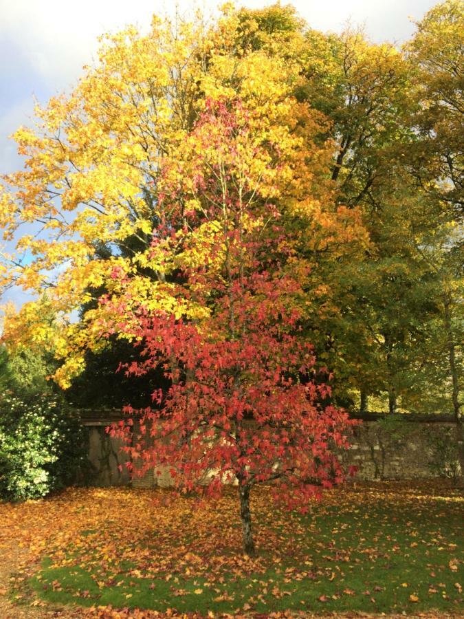 Les Couleurs Du Verger Beaumont-les-Autels Екстер'єр фото